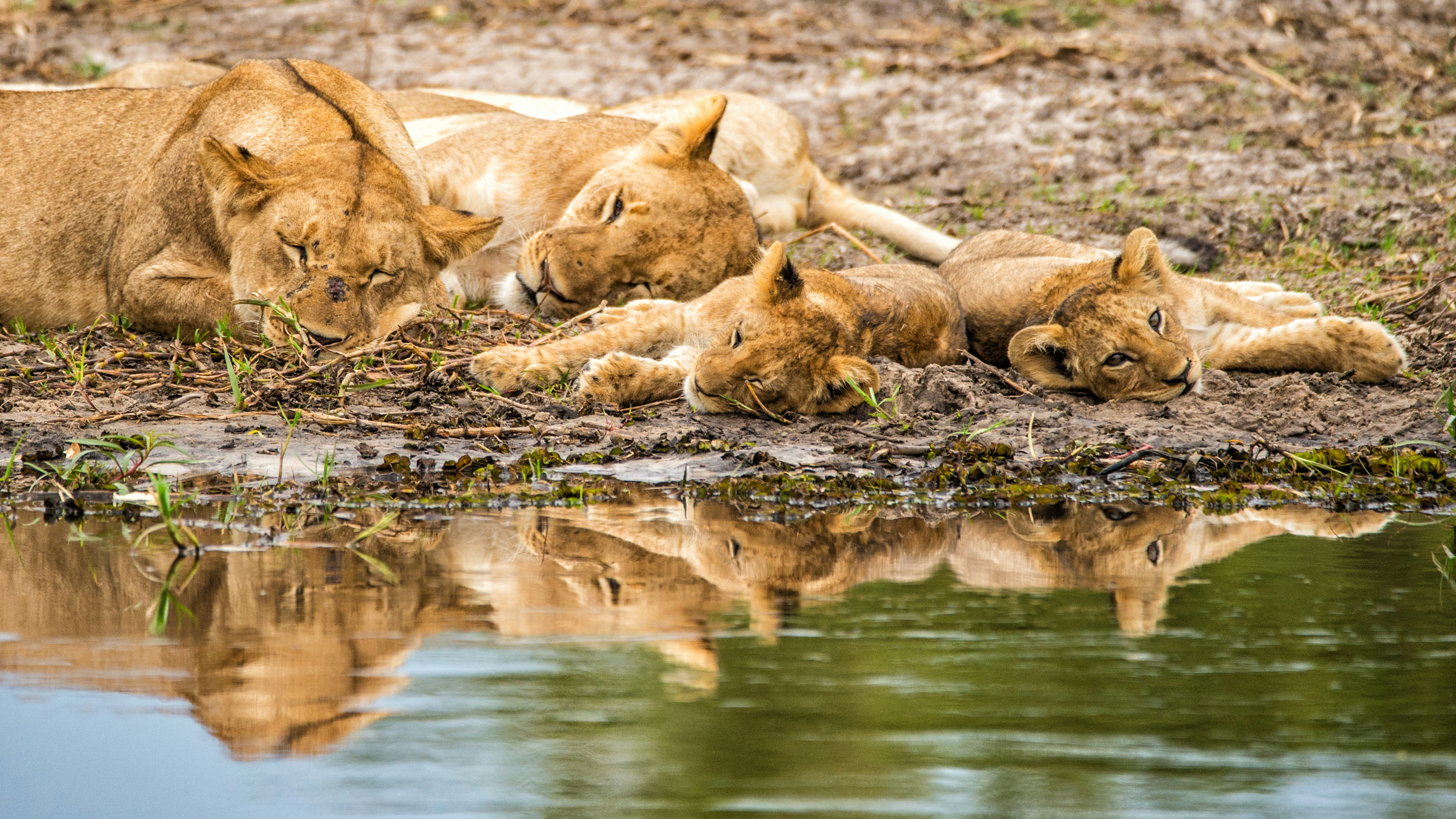 Big Five