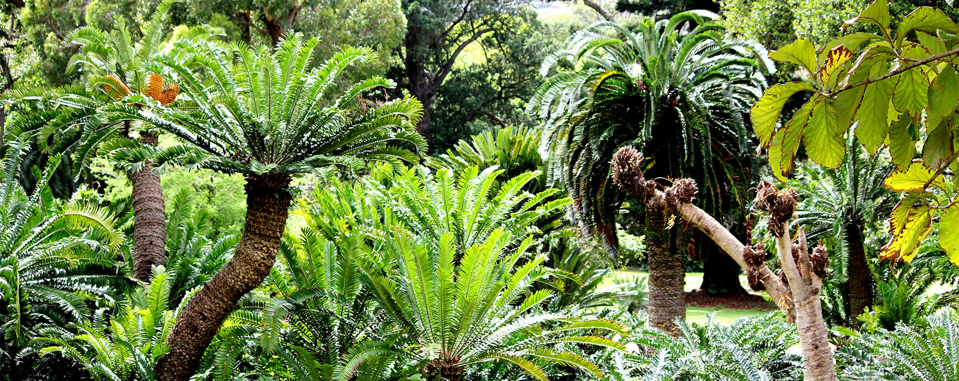 Durban - Image 4