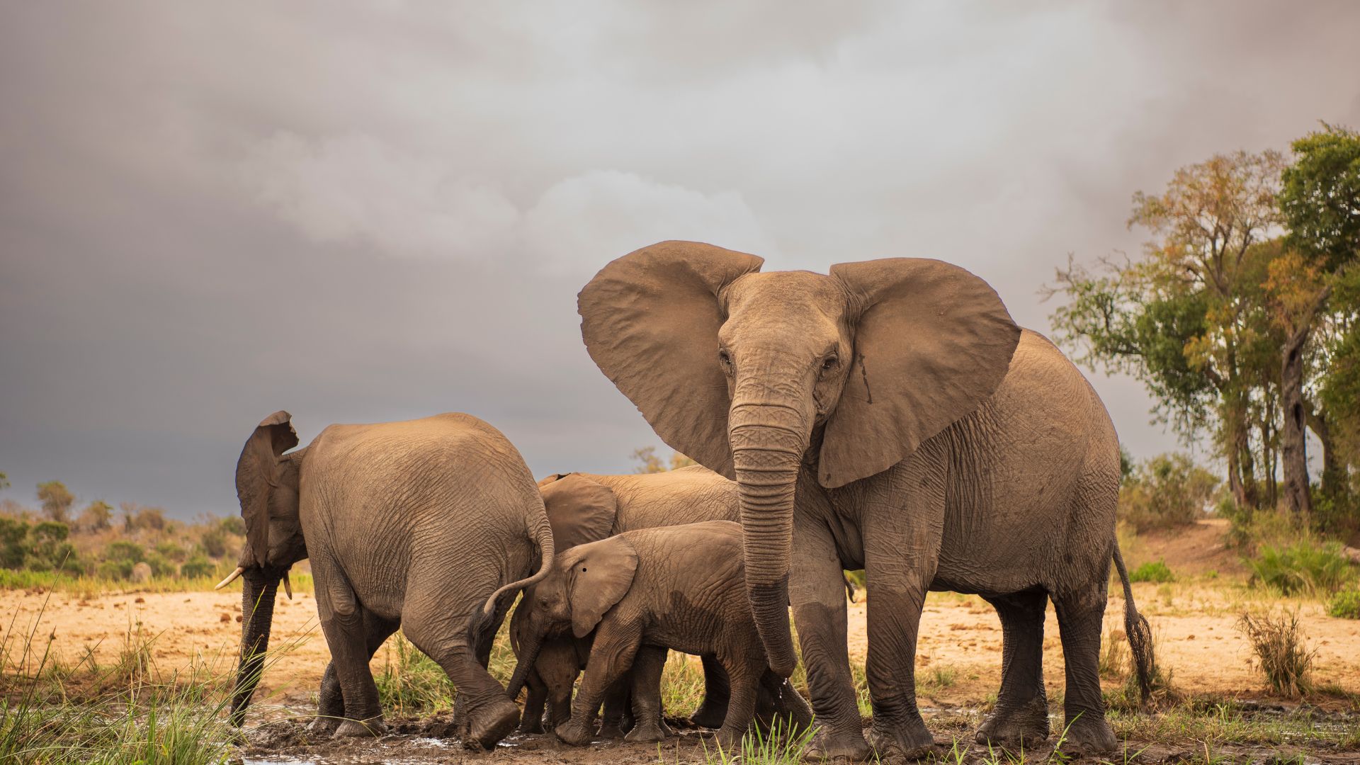 Kruger National Park
